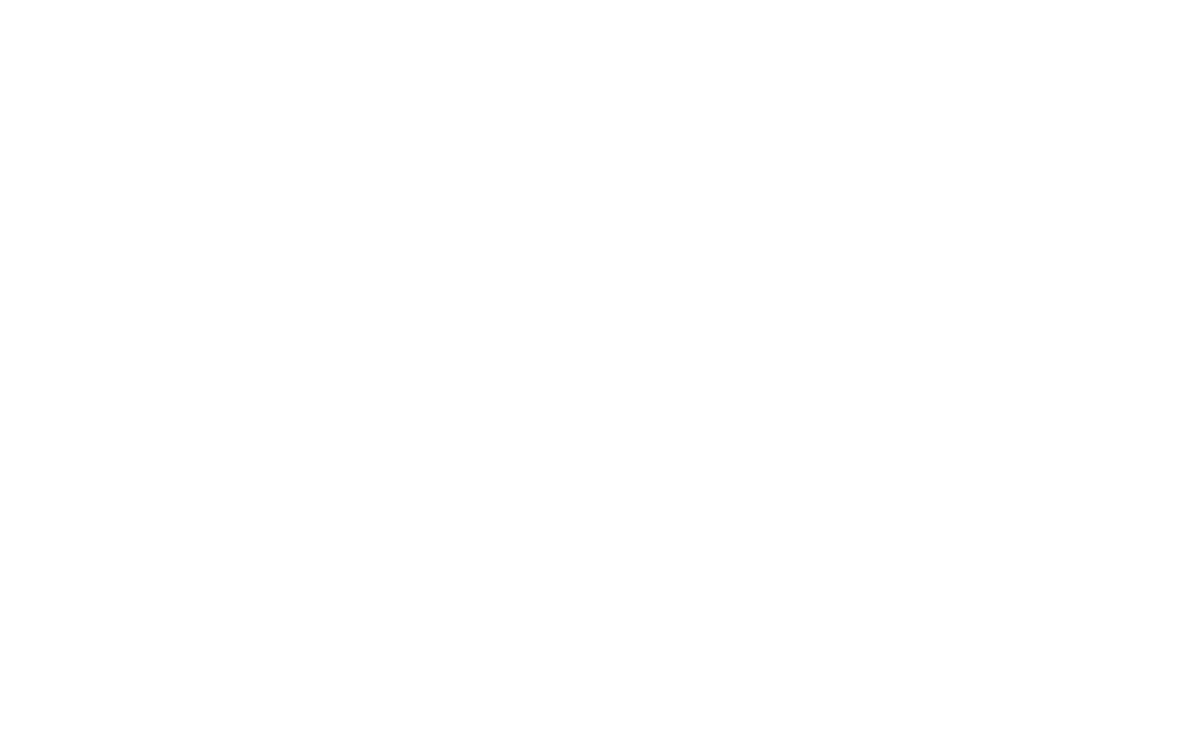 Professional Builders